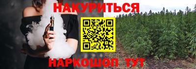 стаф Будённовск
