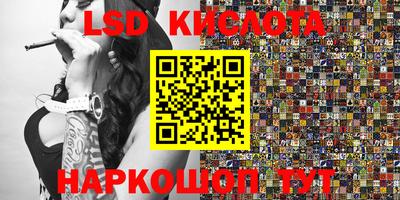 стаф Будённовск