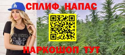 стаф Будённовск