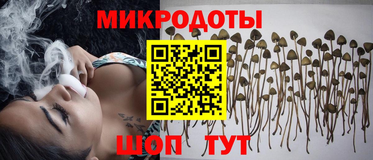 Галлюциногенные грибы Psilocybe  Вход с VPN  Салехард  купить наркотик  Псилоцибиновые грибы Magic Shrooms 