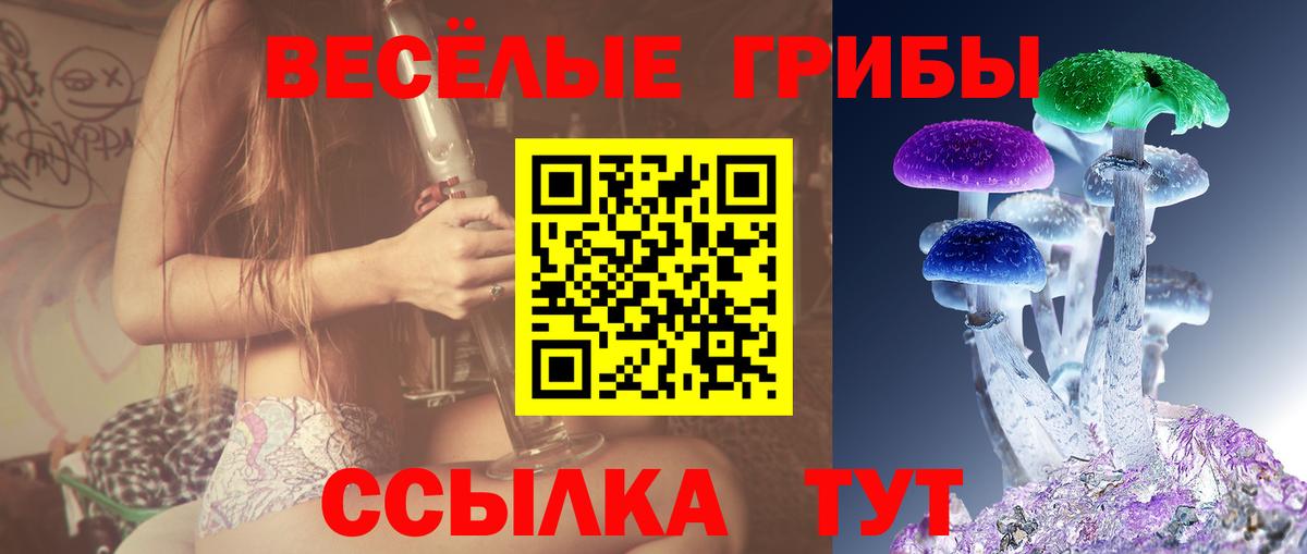 Псилоцибиновые грибы мицелий Салехард